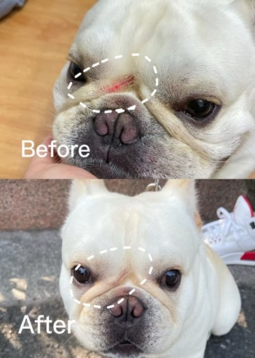 案例四 - 報新聞 Mega News