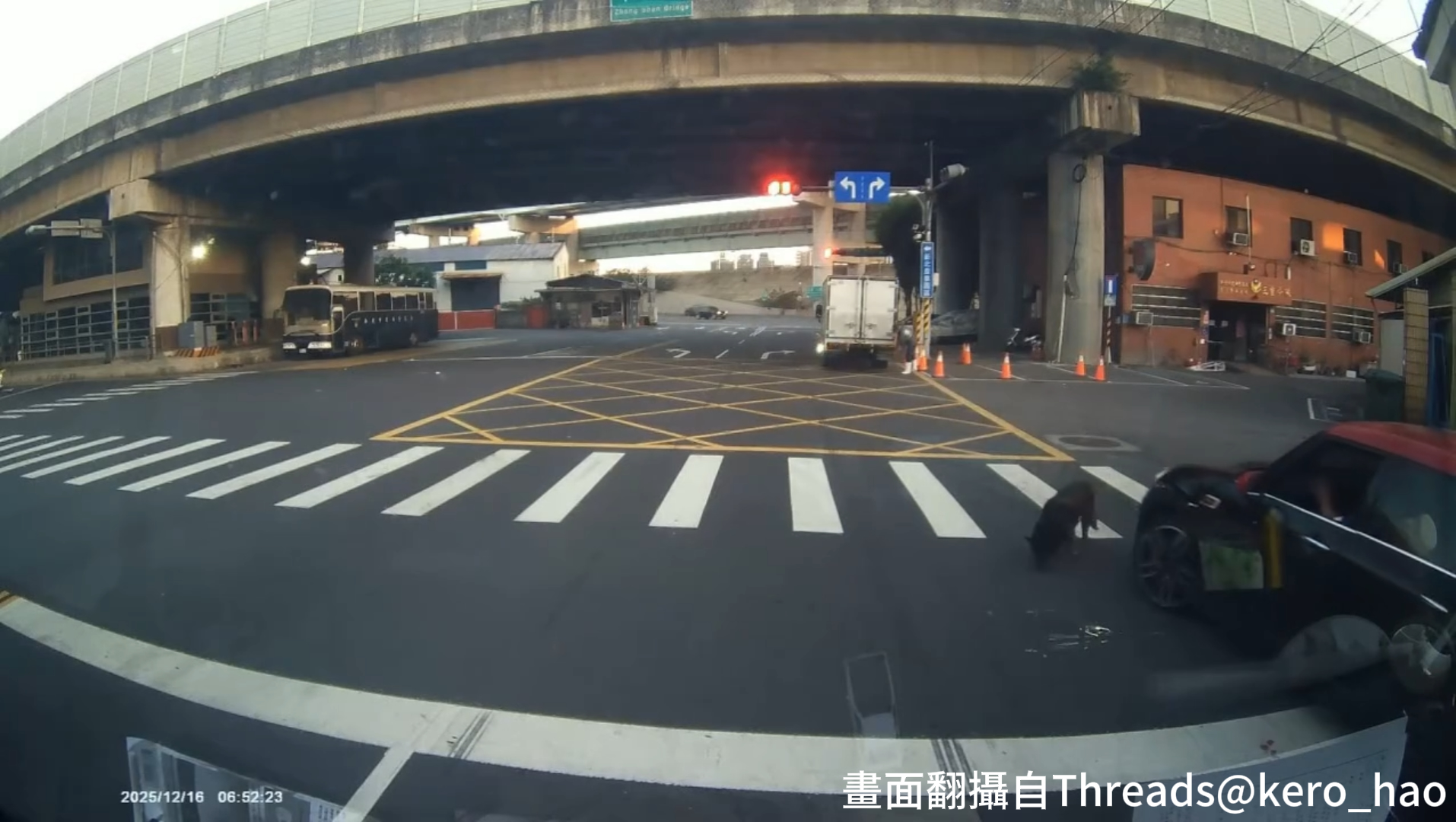 1名駕駛黑色MINI COOPER的男子，先是公然違規紅燈迴轉，無視車前有隻黑狗直接將其撞翻，甚至前輪輾過後，車輛有明顯彈跳後也裝作無事發生一般，持續加速連帶後輪再次輾過黑狗。