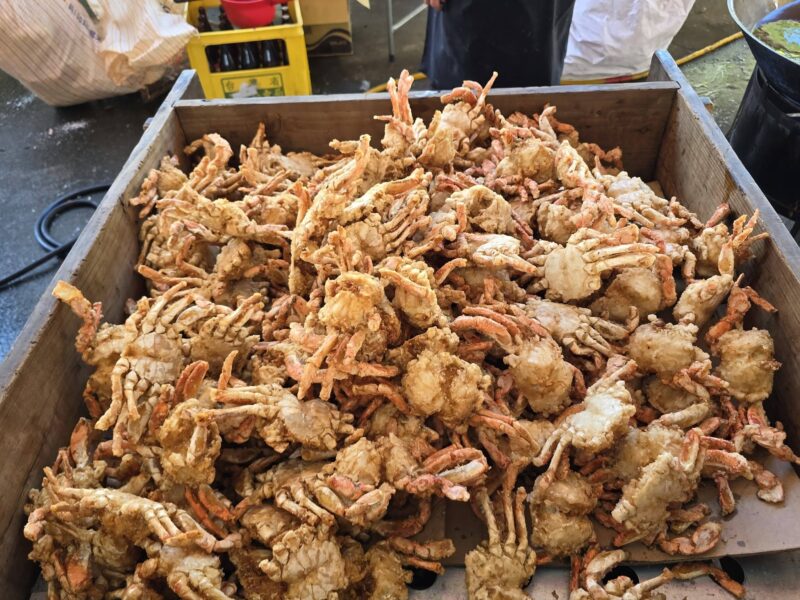 圖文：先天玉虛北極殿 恭迎崑崙白鶴仙童聖駕 舉行安座入火大典。