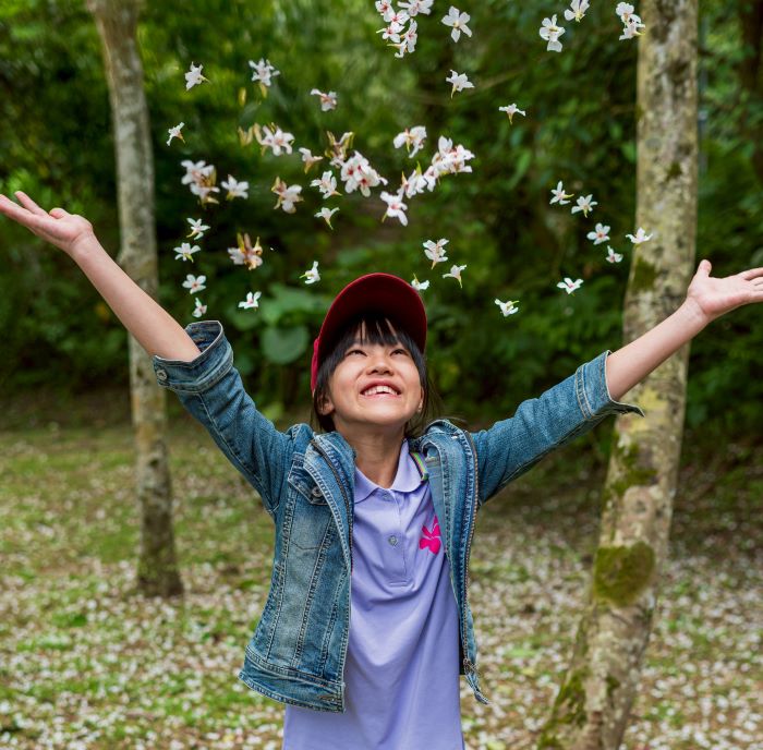 《圖說》每年春季油桐花盛開，雪白花瓣隨風飄落，鋪展成浪漫的「五月雪」。〈客家局提供〉