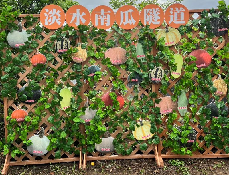 《圖說》農會設置南瓜打卡牆。〈農業局提供〉